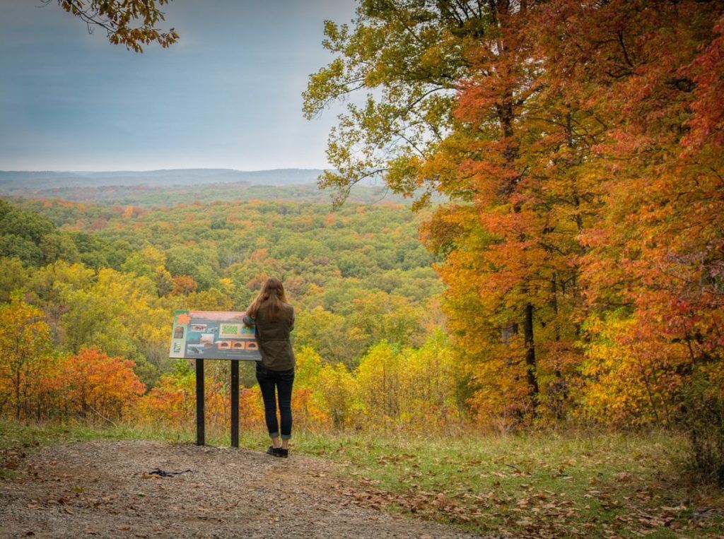 Fall in Brown County